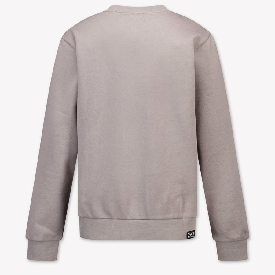 EA7 Boys Sweater in Light Grey