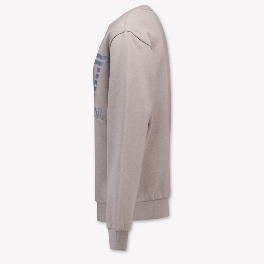 EA7 Boys Sweater in Light Grey