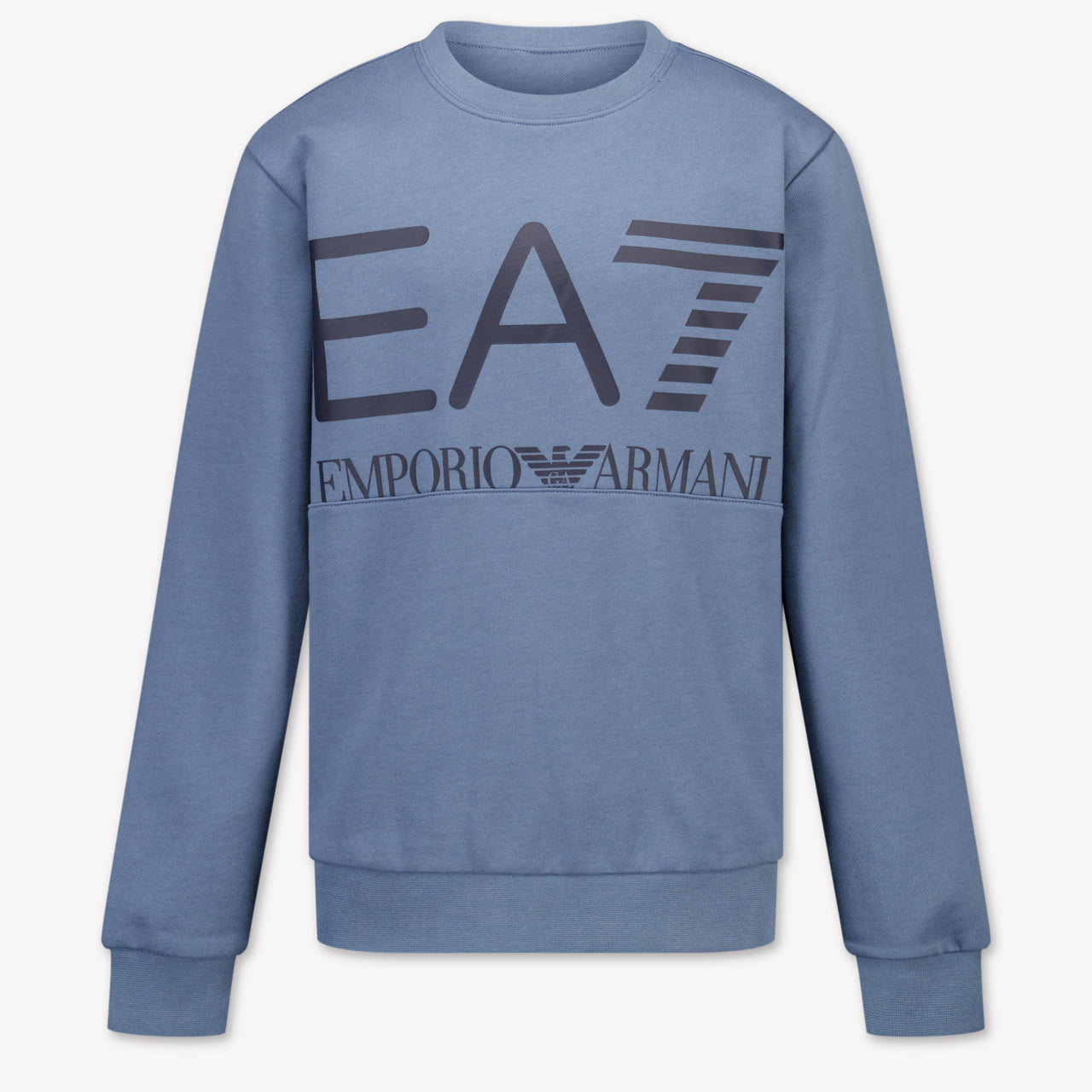 EA7 Boys Sweater in Light Blue