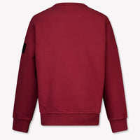 Stone Island Kinder Jongens Trui In Bordeaux
