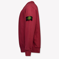 Stone Island Kinder Jongens Trui In Bordeaux