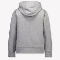 Moncler Kids Boys Sweater In Gray