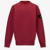 Stone Island Kids Boys Sweater In Bordeaux