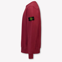 Stone Island Kids Boys Sweater In Bordeaux
