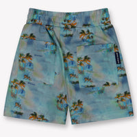 Palm Angels Baby Boys Shorts In Light Blue
