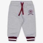 Dolce & Gabbana Baby Boys Pants In Gray