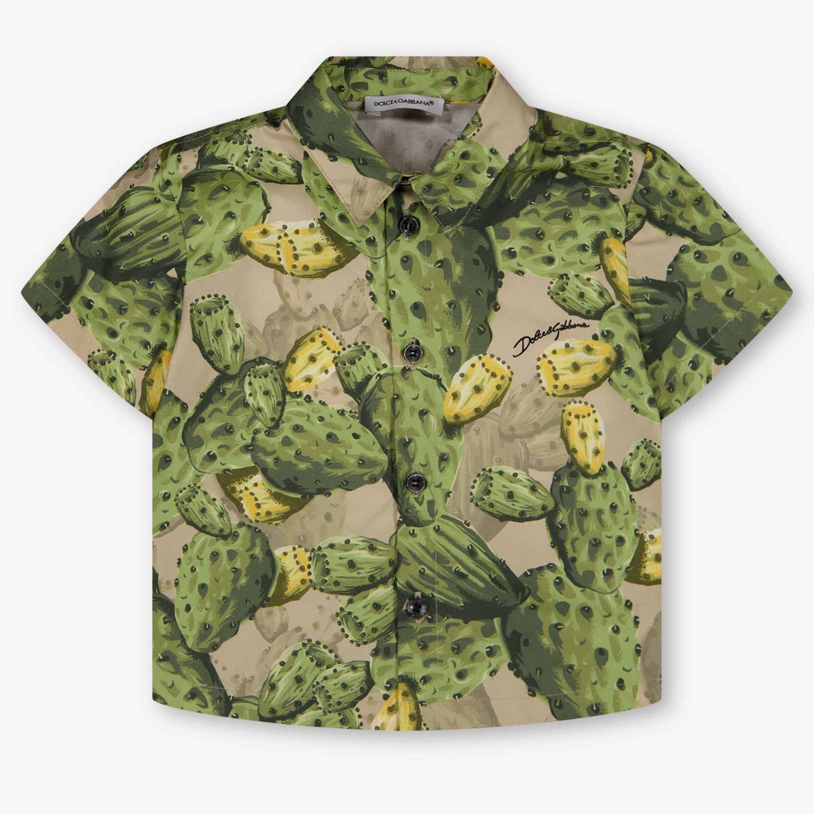 Dolce & Gabbana Baby Boys Blouse In Green
