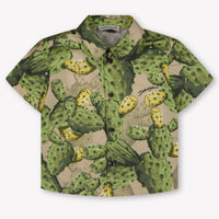 Dolce & Gabbana Baby Boys Blouse In Green