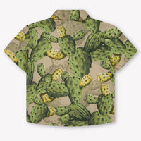 Dolce & Gabbana Baby Boys Blouse In Green