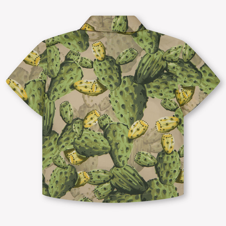 Dolce & Gabbana Baby Boys Blouse In Green