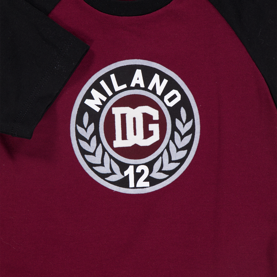 Dolce & Gabbana Baby Boys T-Shirt In Bordeaux