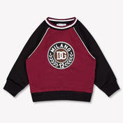 Dolce & Gabbana Baby Jongens Trui In Bordeaux