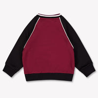 Dolce & Gabbana Baby Jongens Trui In Bordeaux