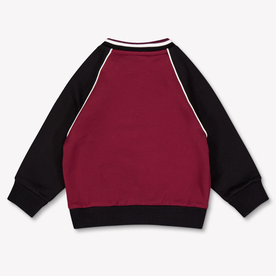 Dolce & Gabbana Baby Jongens Trui In Bordeaux