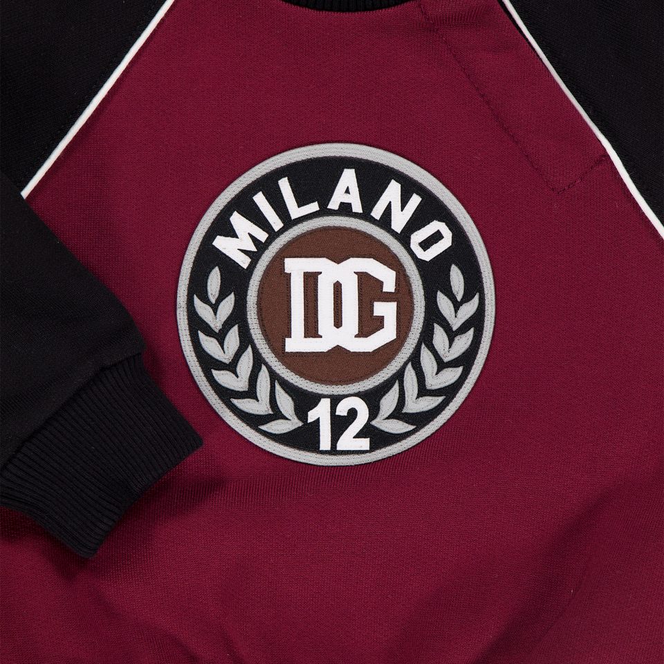 Dolce & Gabbana Baby Jongens Trui In Bordeaux