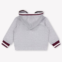 Dolce & Gabbana Baby Boys Cardigan In Gray