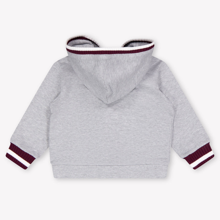 Dolce & Gabbana Baby Boys Cardigan In Gray