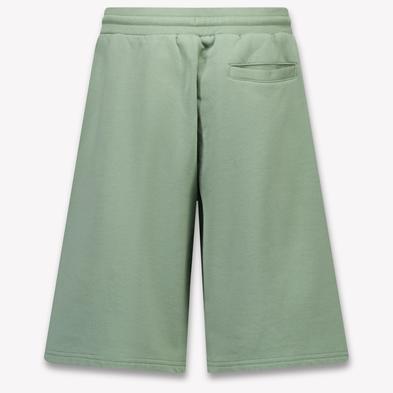 Dolce & Gabbana Kids Boys Shorts In Light Green