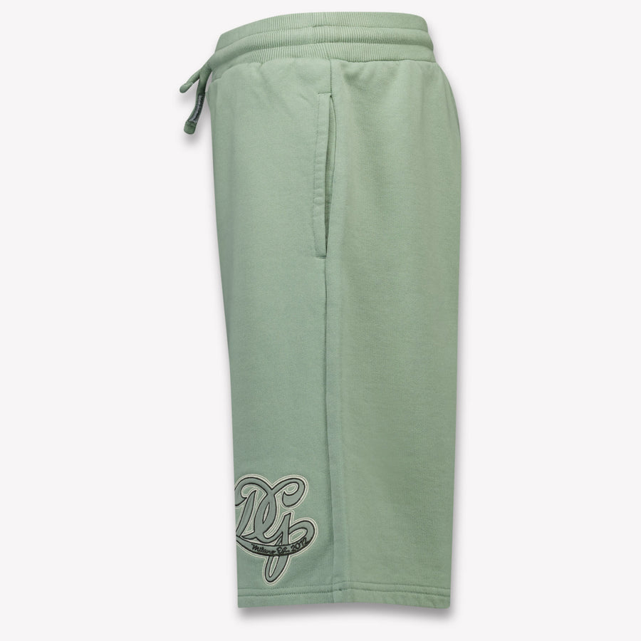 Dolce & Gabbana Kids Boys Shorts In Light Green