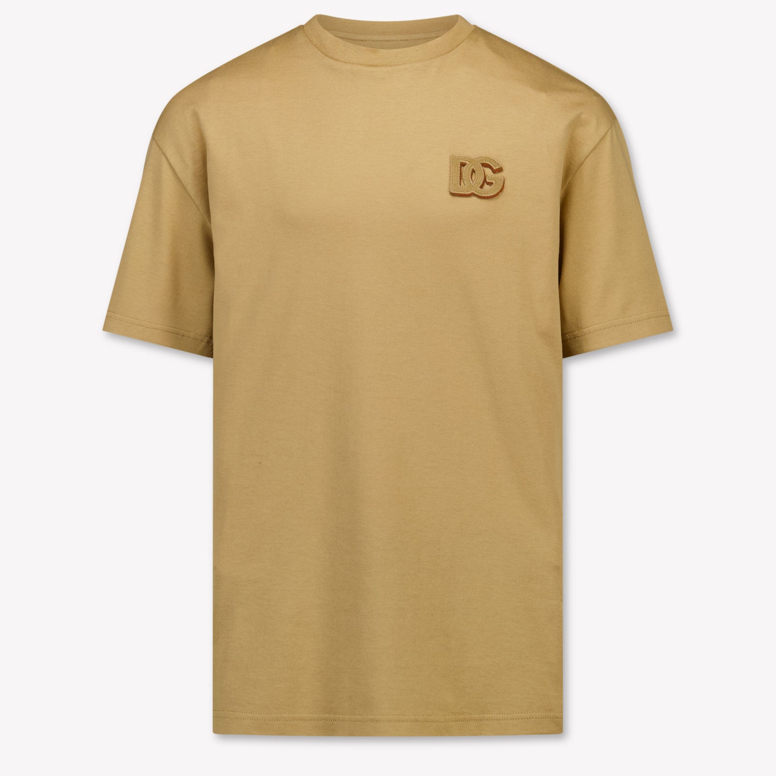 Dolce & Gabbana Kids Boys T-Shirt In Beige