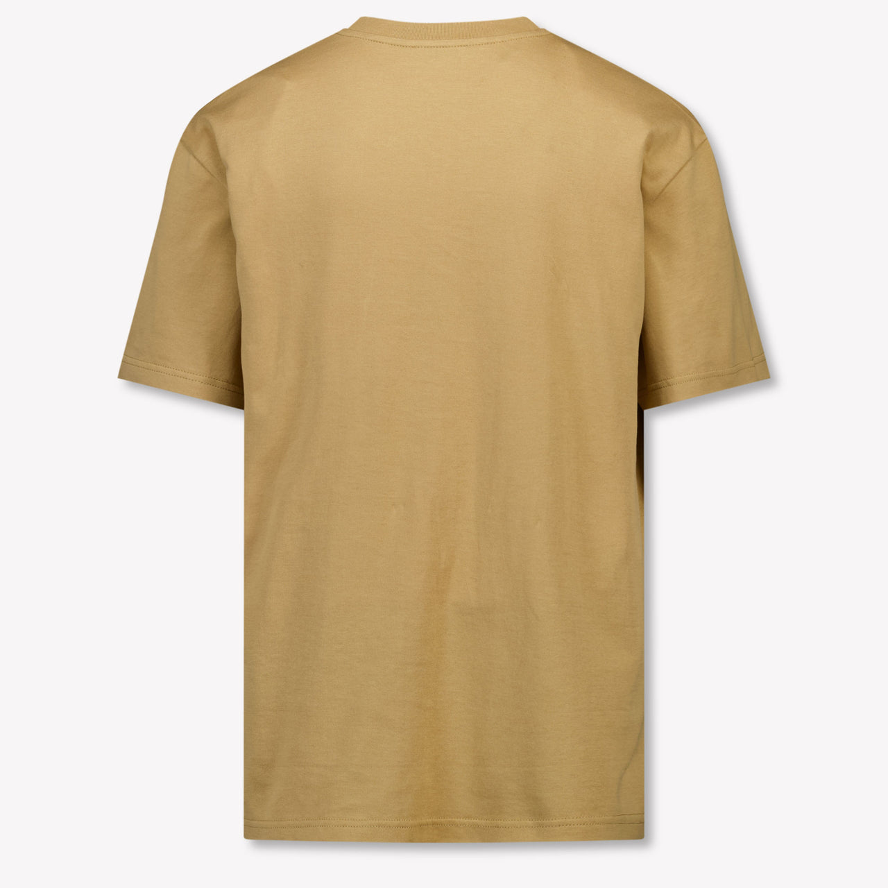 Dolce & Gabbana Kids Boys T-Shirt In Beige