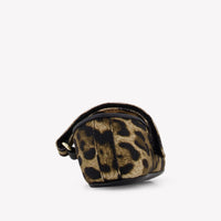 Dolce & Gabbana Baby Girls Shoes In Panther