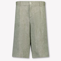Dolce & Gabbana Kids Boys Shorts In Light Green