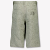 Dolce & Gabbana Kids Boys Shorts In Light Green