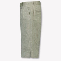 Dolce & Gabbana Kids Boys Shorts In Light Green