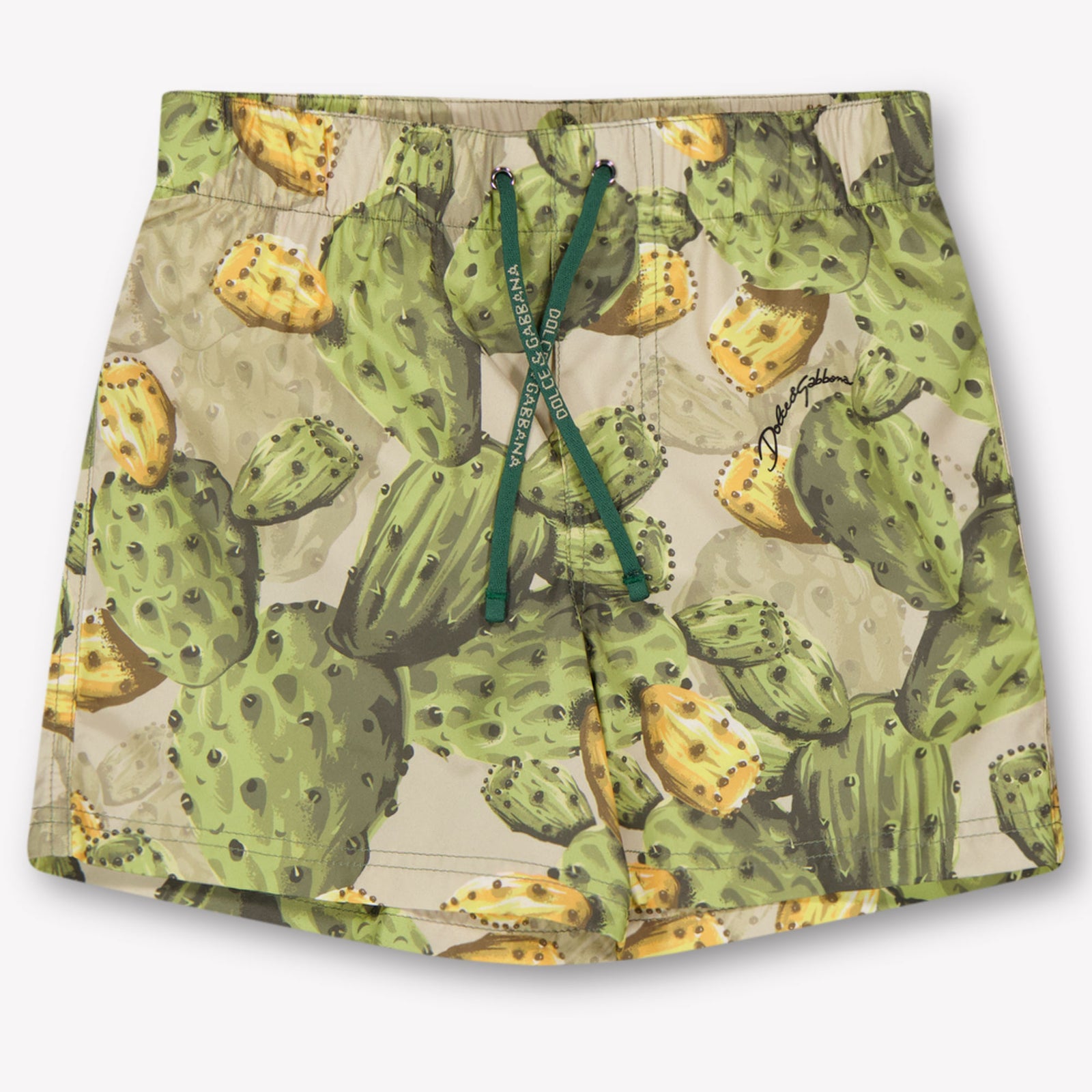 Dolce & Gabbana Baby Boys Swimwear In Green