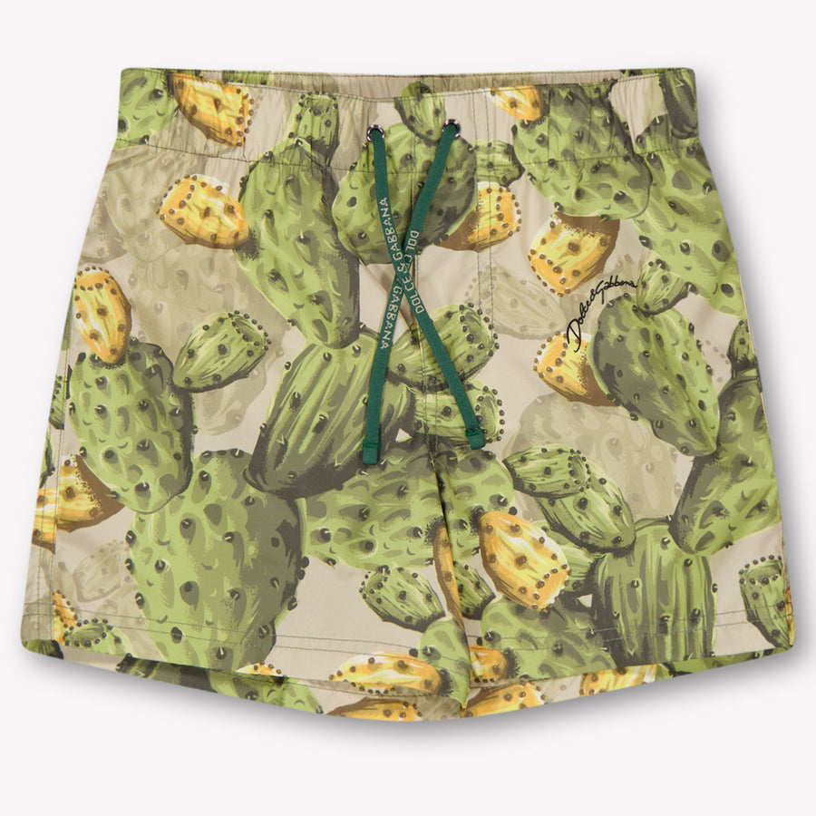 Dolce & Gabbana Baby Boys Swimwear In Green
