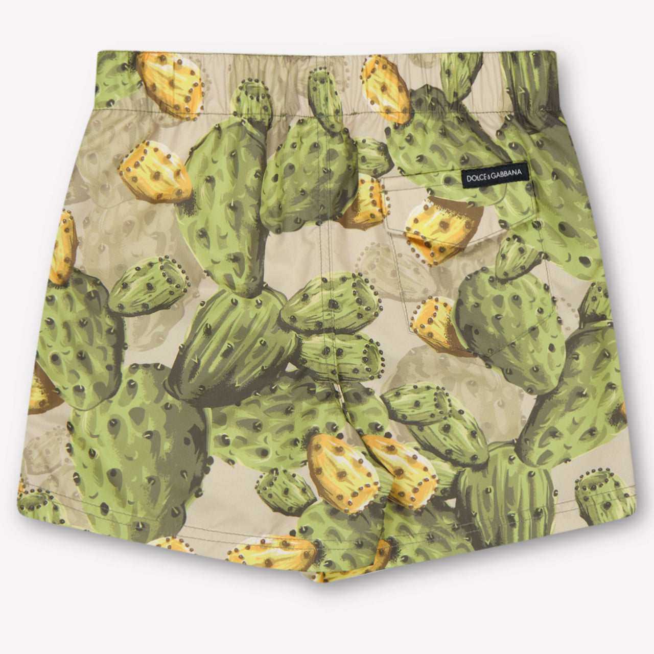 Dolce & Gabbana Baby Boys Swimwear In Green