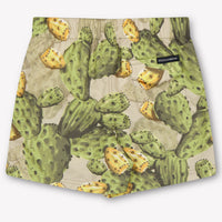 Dolce & Gabbana Baby Boys Swimwear In Green