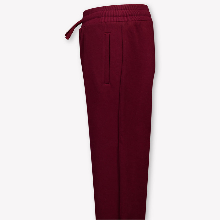 Dolce & Gabbana Kinder Jongens Broek In Bordeaux