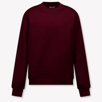 Dolce & Gabbana Kids Boys Sweater In Bordeaux