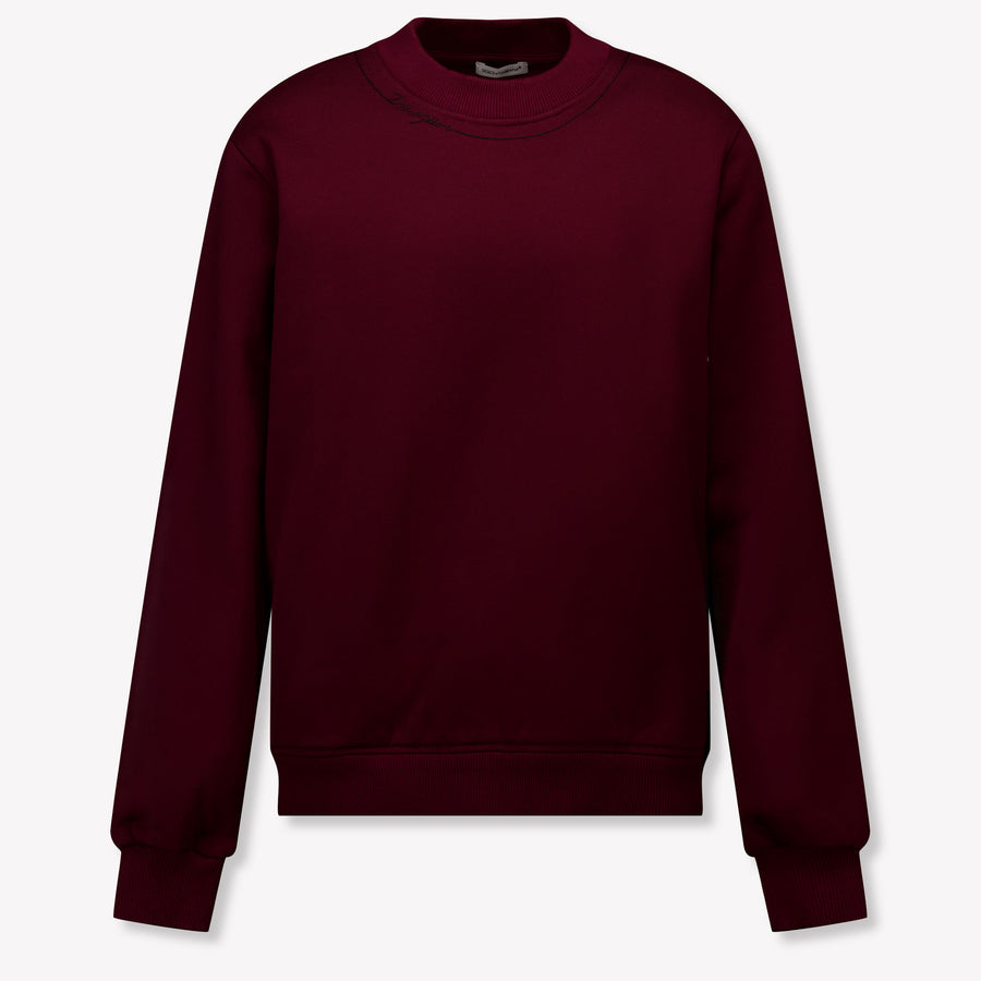 Dolce & Gabbana Kids Boys Sweater In Bordeaux