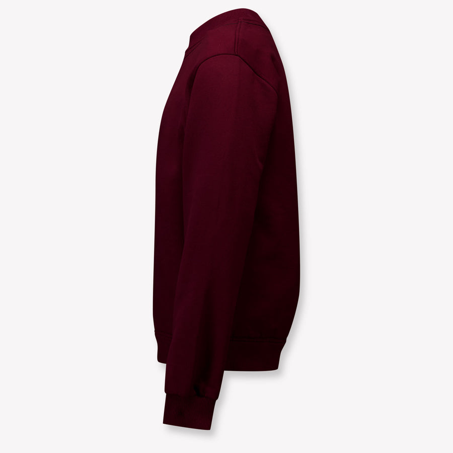 Dolce & Gabbana Kids Boys Sweater In Bordeaux
