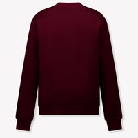 Dolce & Gabbana Kids Boys Sweater In Bordeaux