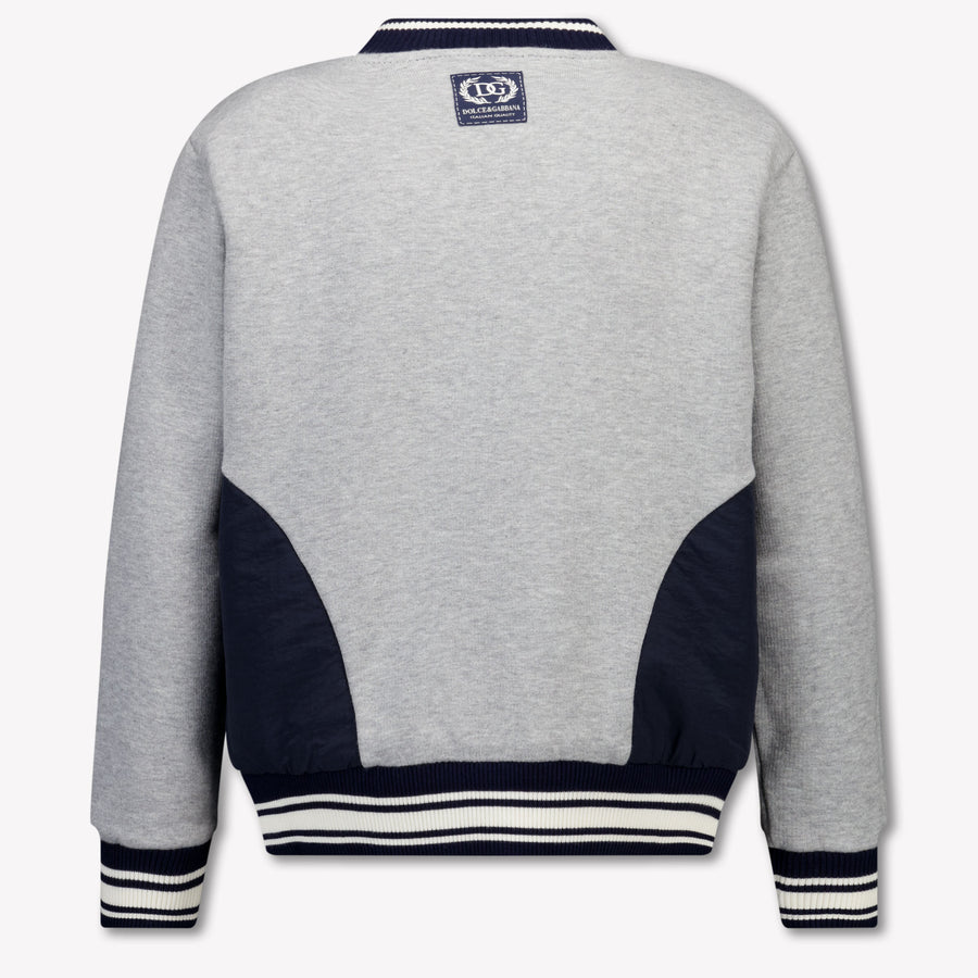 Dolce & Gabbana Kids Boys Sweater In Gray