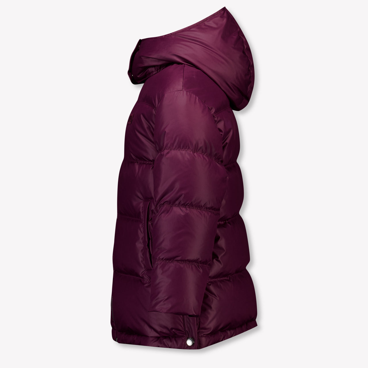 Dolce & Gabbana Kinder Meisjes Winterjas In Bordeaux