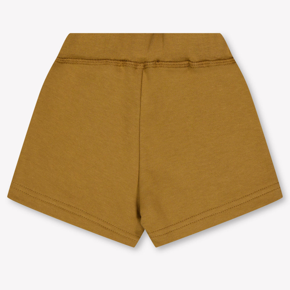 Dsquared2 Baby Jongens Shorts In Camel