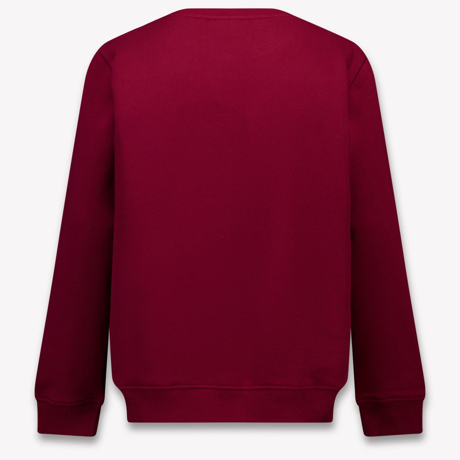 Stella McCartney Girls Sweater in Bordeaux