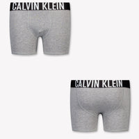 Calvin Klein Kinder Jongens Ondergoed In Grijs