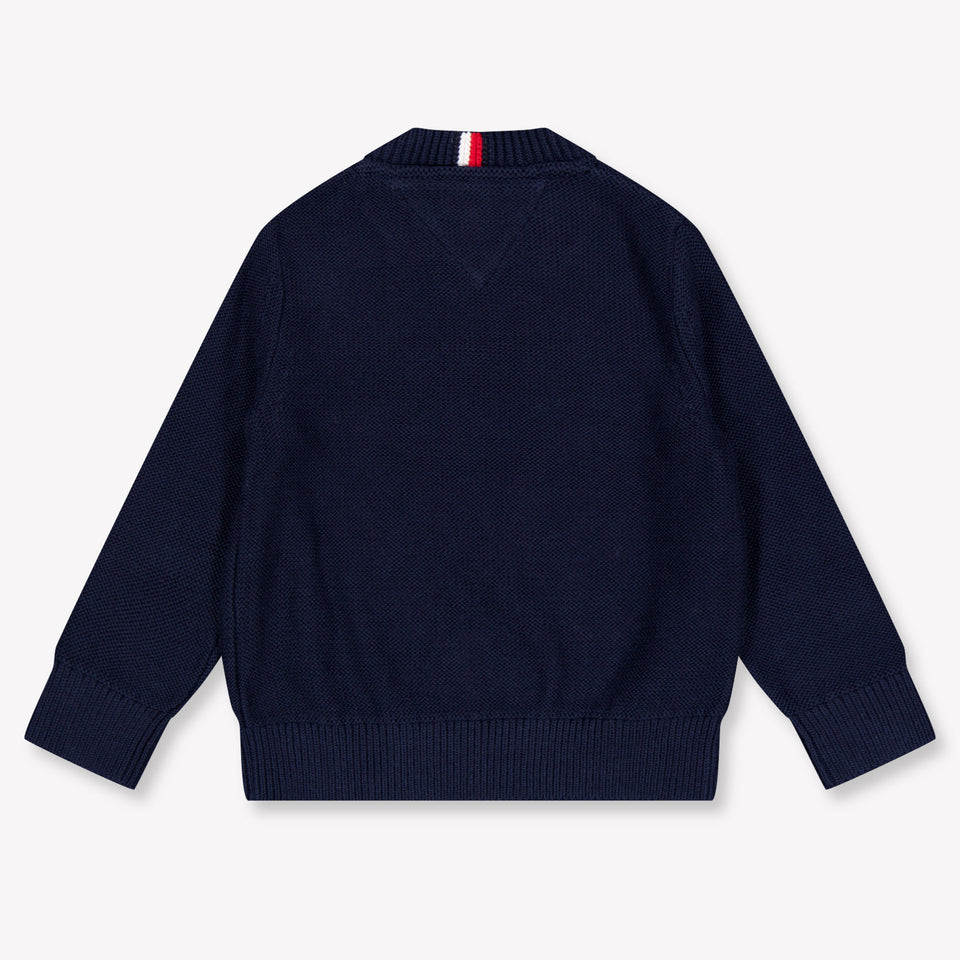 Tommy Hilfiger Baby Boys Sweater in Navy