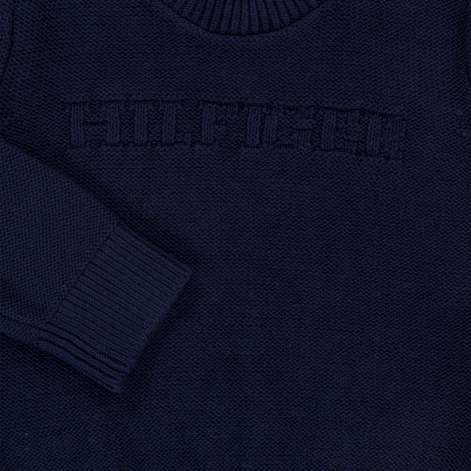 Tommy Hilfiger Baby Boys Sweater in Navy
