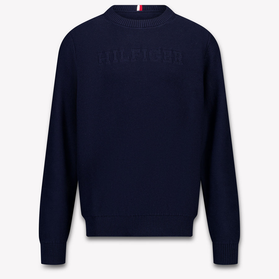 Tommy Hilfiger Kids Boys Sweater in Navy