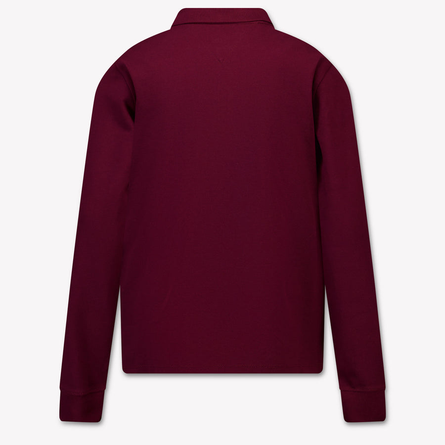 Tommy Hilfiger Kids Boys Polo In Bordeaux