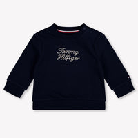 Tommy Hilfiger Baby Boys Sweater In Navy