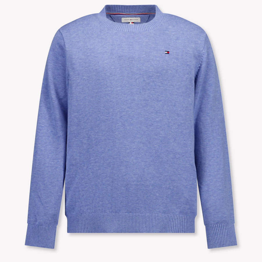 Tommy Hilfiger Boys Sweater in Light Blue