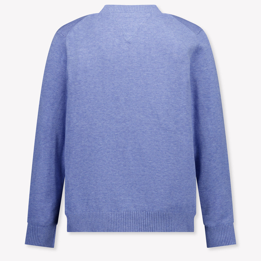 Tommy Hilfiger Kids Boys Sweater In Light Blue